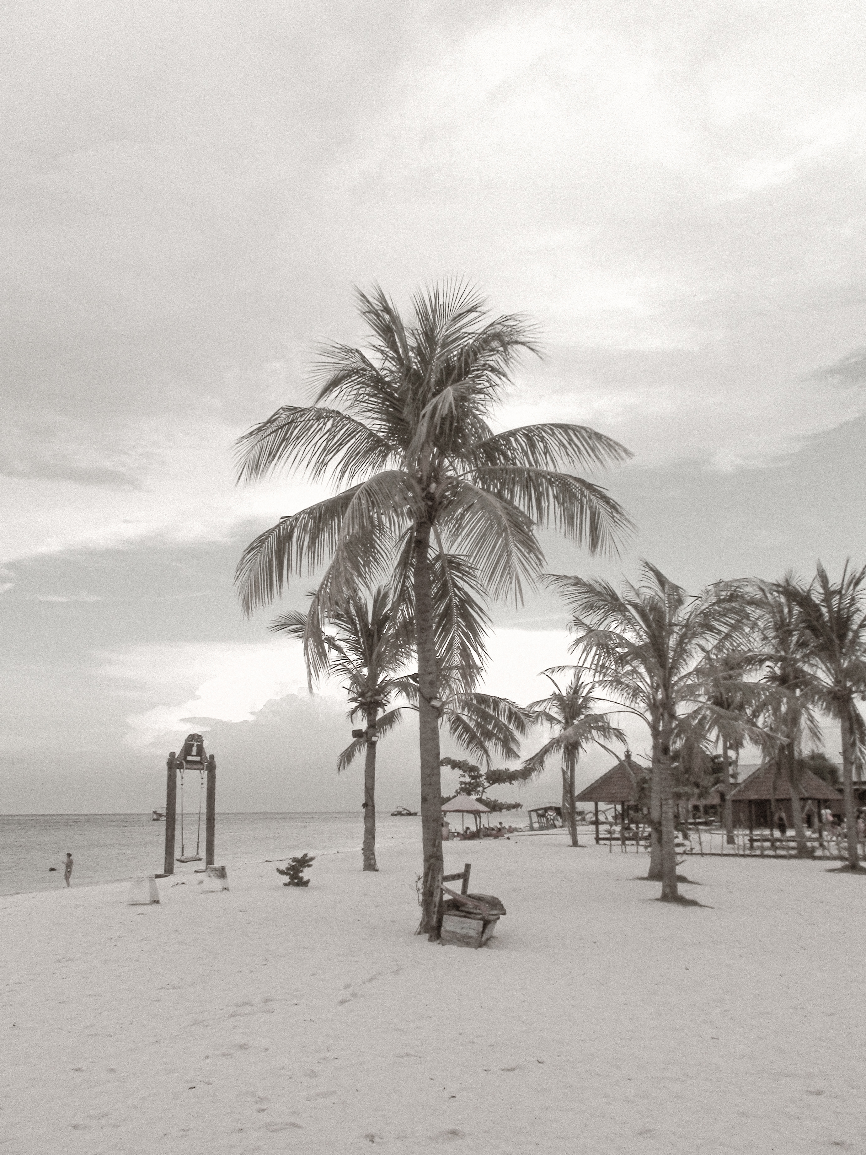 Palm Tree Beach